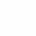 Commercial Buses